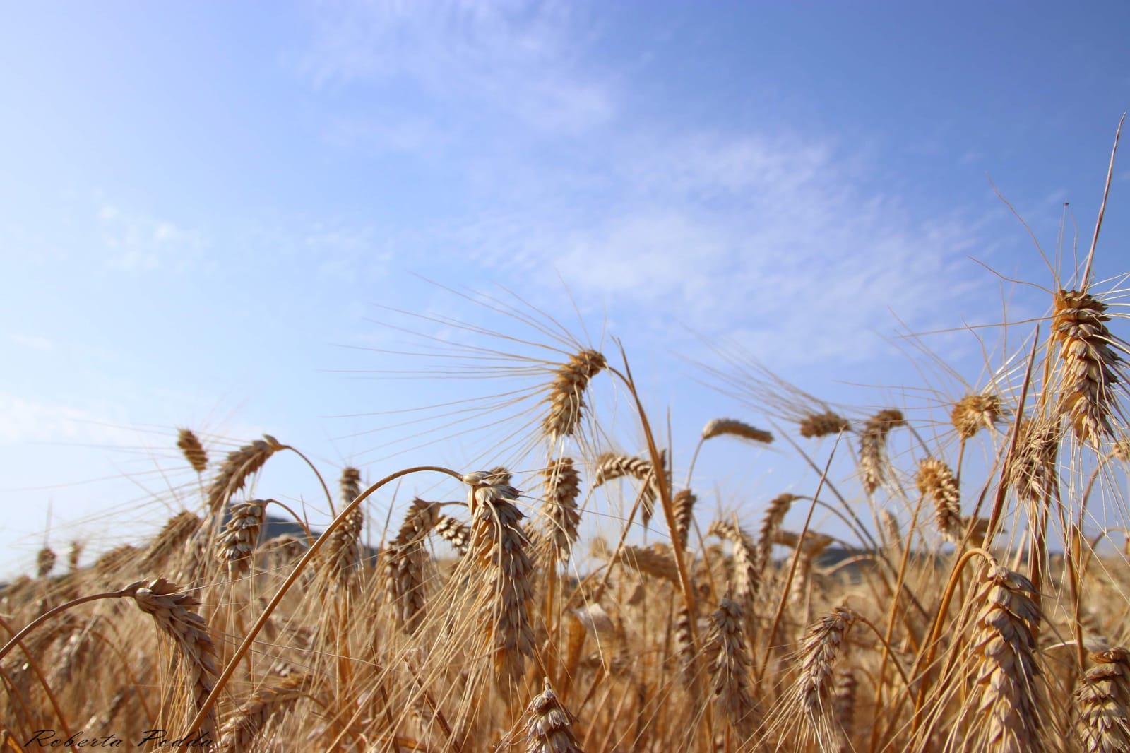 PHOTO-2021-03-16-19-42-28